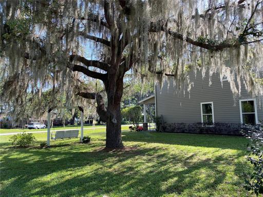 From Back of Yard