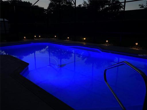 Fiber Optic Lights