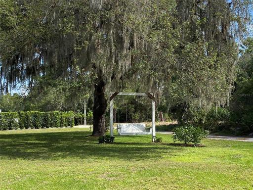 Side Yard and Swing