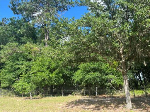 Lot 2 View