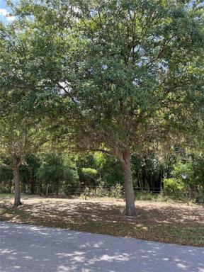 Lot 2 from Main Road