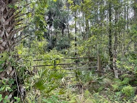Homosassa, Florida 34448, 0 , 0 ,0,Land,For Sale,MAYFAIR,0,U8159965