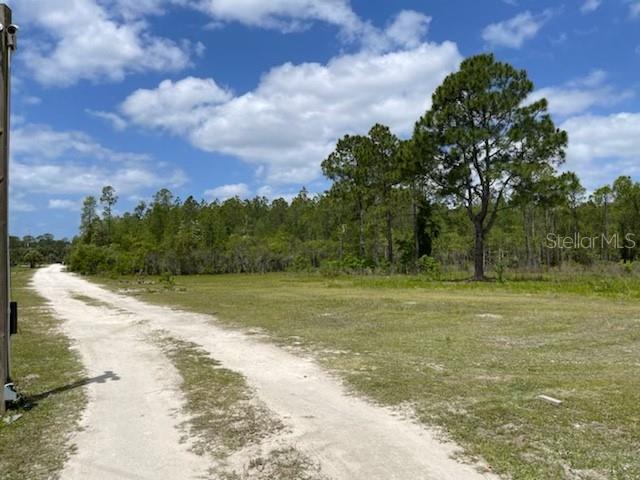 Homosassa, Florida 34448, 0 , 0 ,0,Land,For Sale,MAYFAIR,0,U8159965