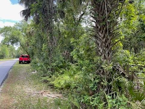 Homosassa, Florida 34448, 0 , 0 ,0,Land,For Sale,MAYFAIR,0,U8159965
