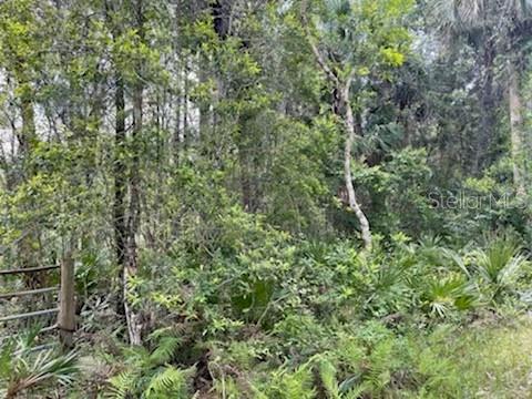 Homosassa, Florida 34448, 0 , 0 ,0,Land,For Sale,MAYFAIR,0,U8159965