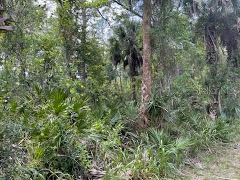 Homosassa, Florida 34448, 0 , 0 ,0,Land,For Sale,MAYFAIR,0,U8159965