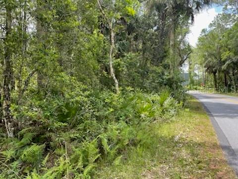 Homosassa, Florida 34448, 0 , 0 ,0,Land,For Sale,MAYFAIR,0,U8159965
