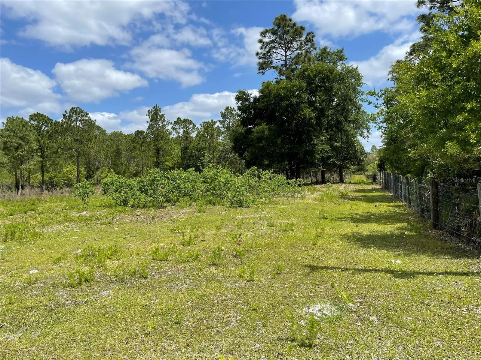 Homosassa, Florida 34448, 0 , 0 ,0,Land,For Sale,MAYFAIR,0,U8159965