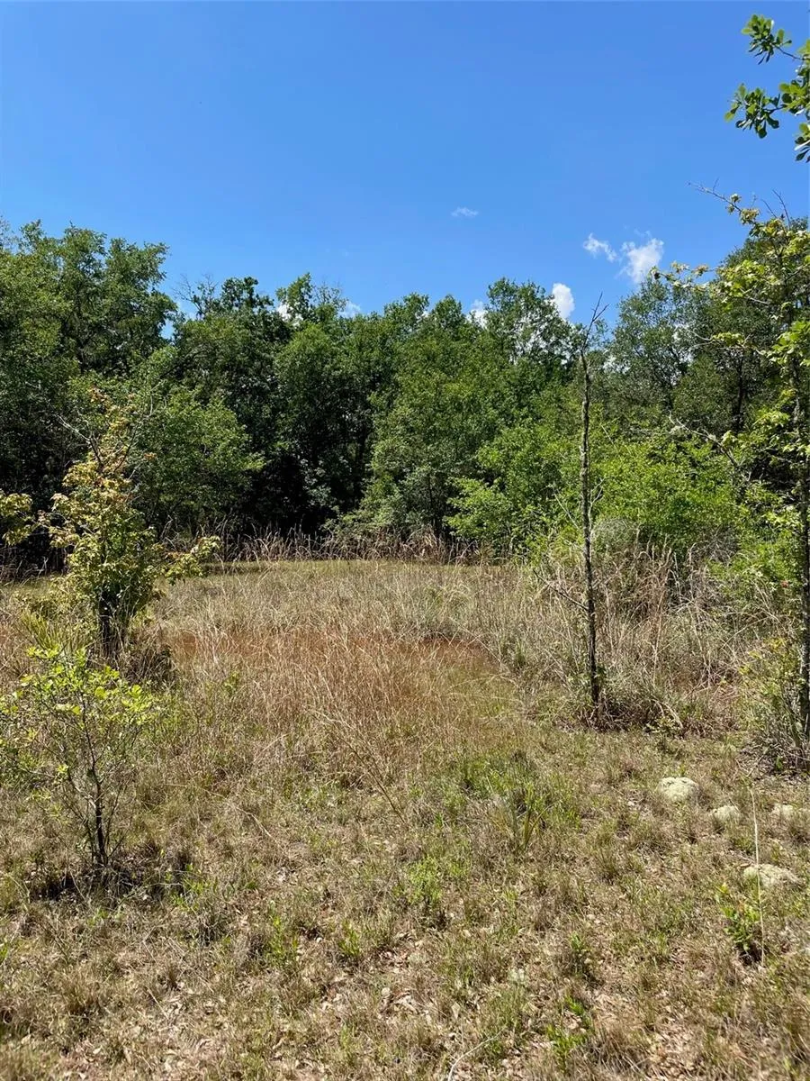 Inverness, Florida 34453, 0 , 0 ,0,Land,For Sale,RIVEROAK,0,U8160028