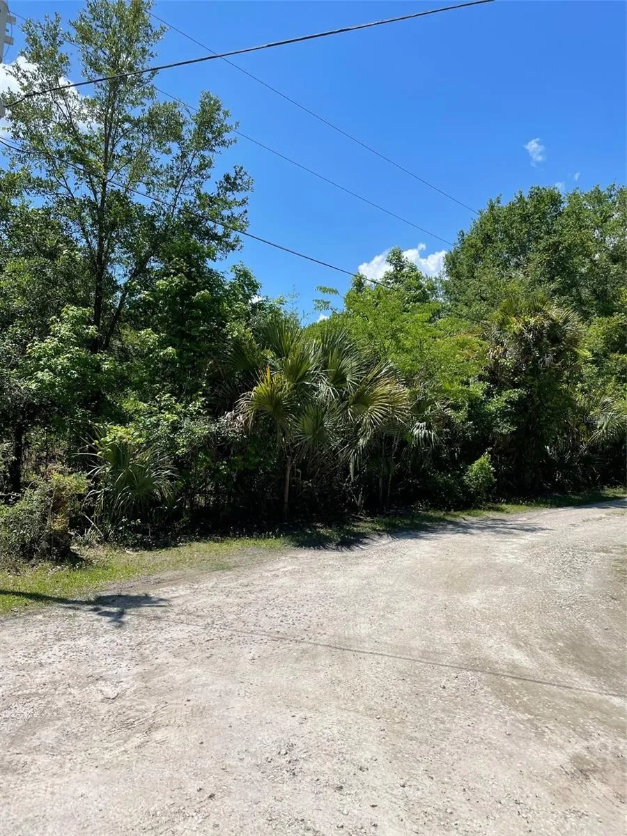 Inverness, Florida 34453, 0 , 0 ,0,Land,For Sale,RIVEROAK,0,U8160028