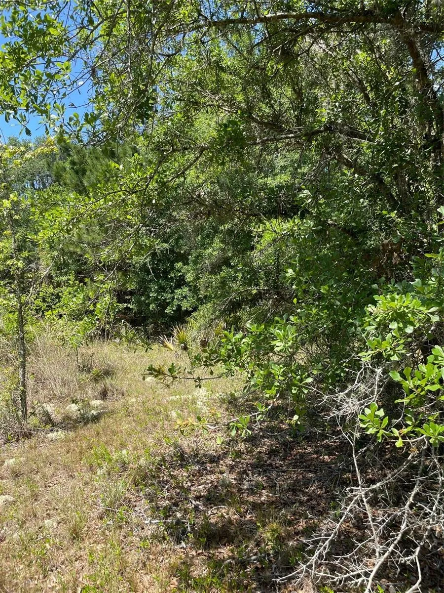 Inverness, Florida 34453, 0 , 0 ,0,Land,For Sale,RIVEROAK,0,U8160028