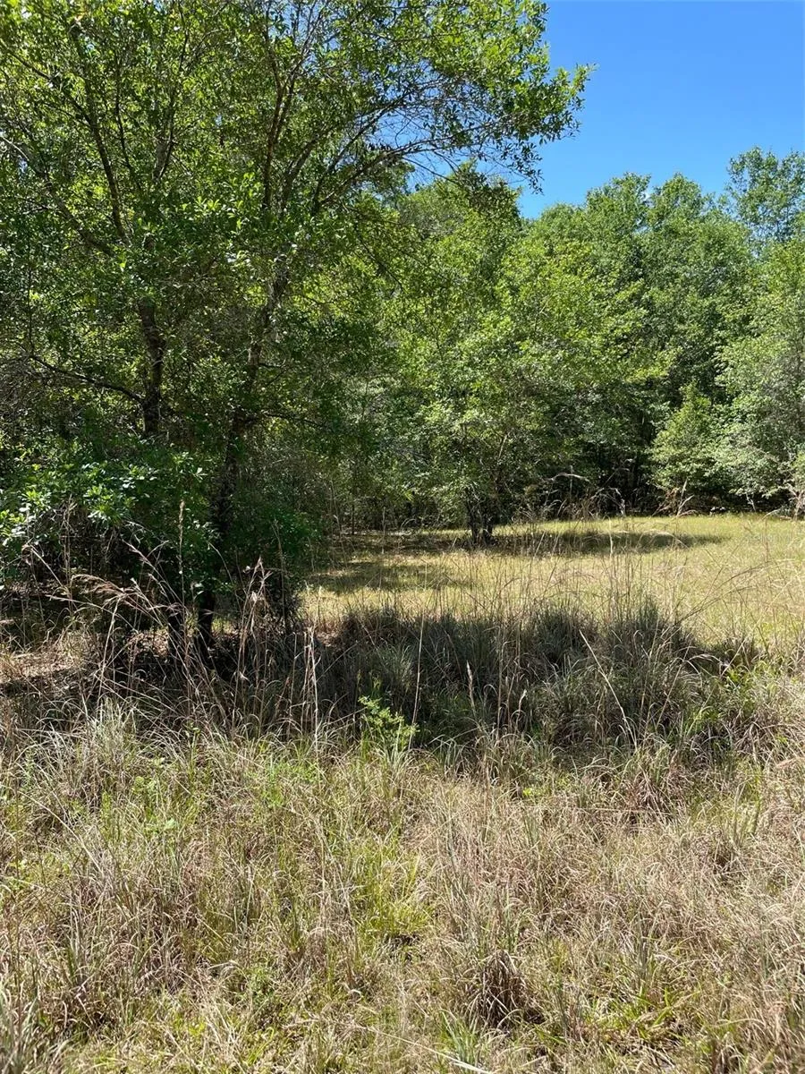 Inverness, Florida 34453, 0 , 0 ,0,Land,For Sale,RIVEROAK,0,U8160028