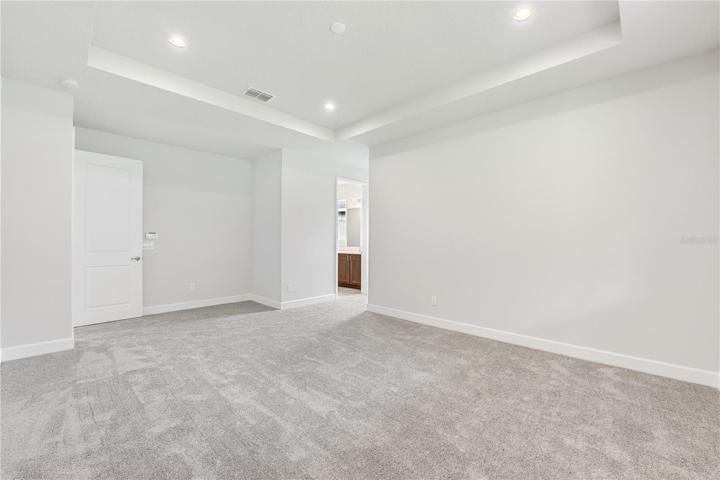 First floor primary suite with tray ceiling