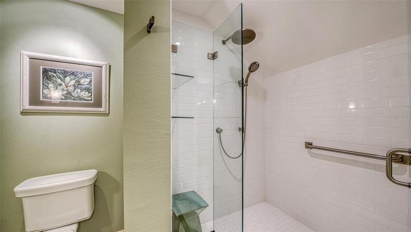 Master shower
