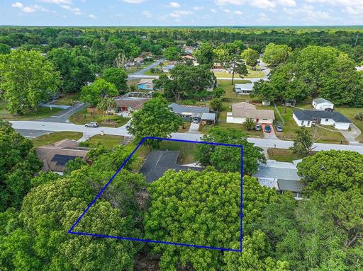 Blue Line Indicates Approximate Property Line