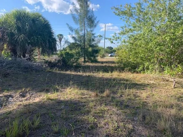 Nice locaiton with Southern Backyard Exposure and NO FIXED BRIDGES