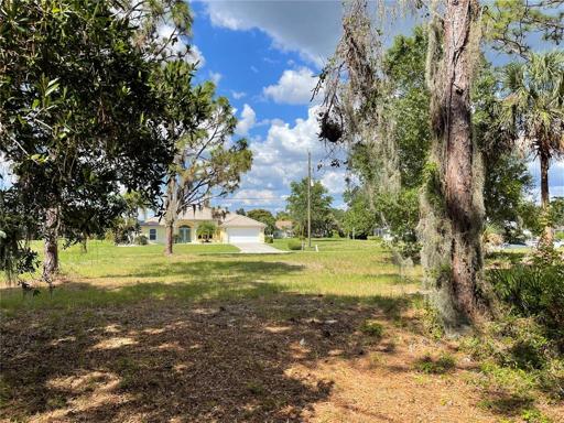 View from the South end of the lot facing North.