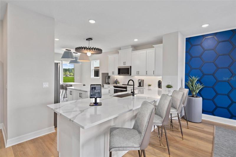 *Model Home* Kitchen