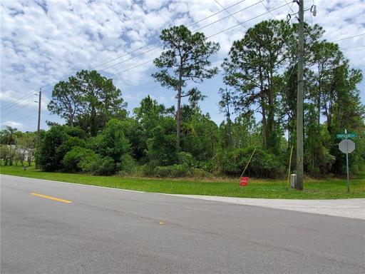 Corner lot-shown here Tropicare & Tidewell