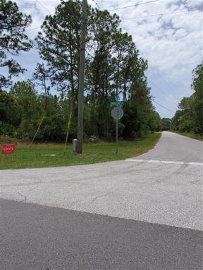 Corner lot-showing electricity poles in place