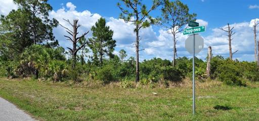 Gulf Cove Great Waterfront Community