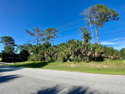 Front view of the lot from Raintree Pl street 