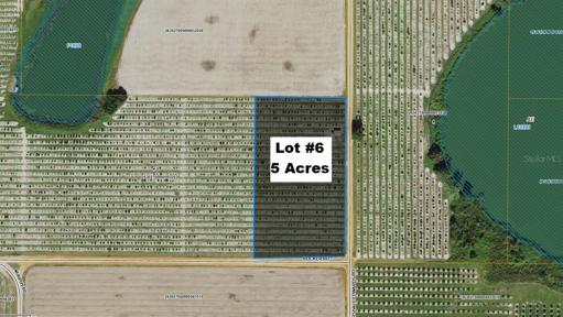 Lot #6 location