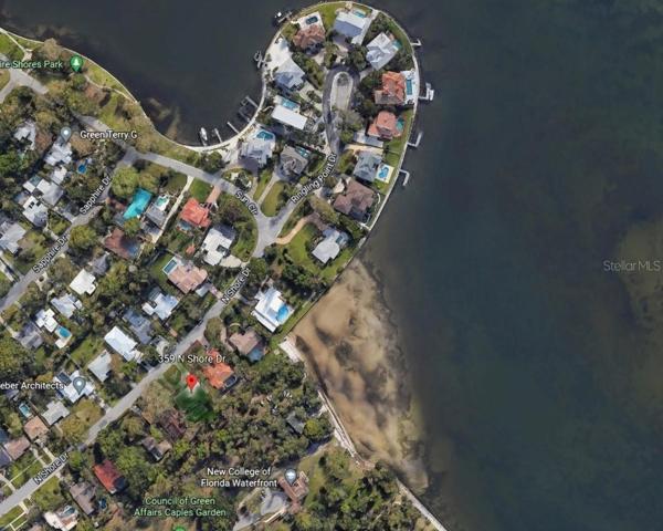 Google View