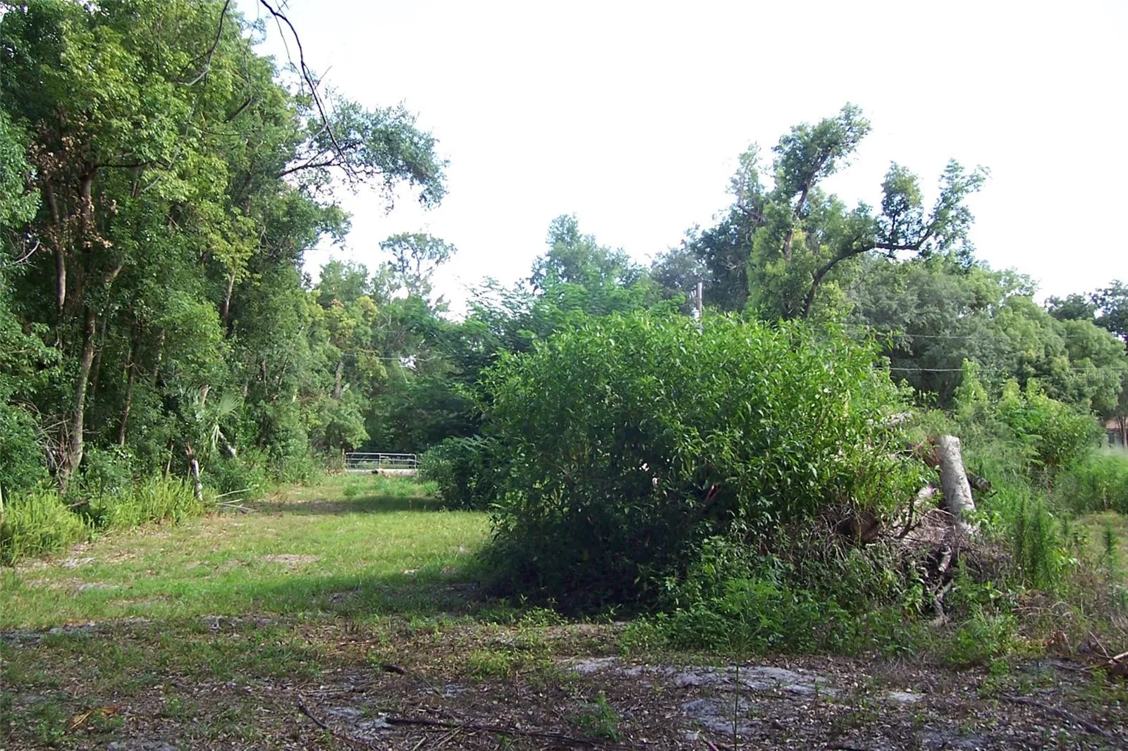 Eustis, Florida 32726, 0 , 0 ,0,Land,For Sale,GRANT,0,G5056401