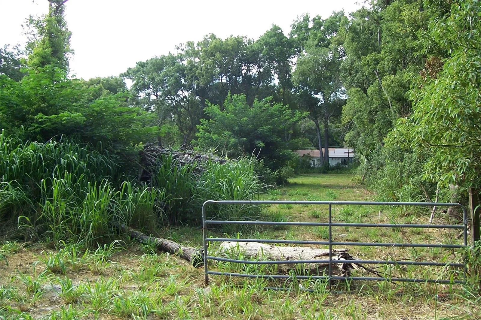 Eustis, Florida 32726, 0 , 0 ,0,Land,For Sale,GRANT,0,G5056401