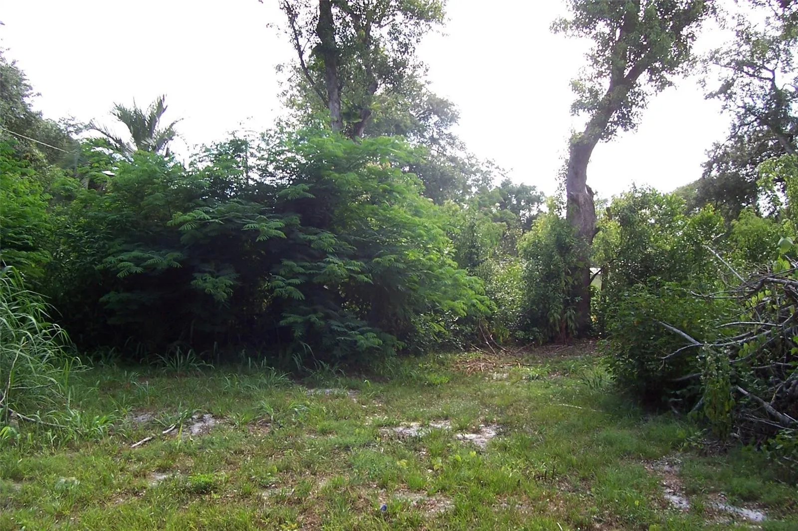 Eustis, Florida 32726, 0 , 0 ,0,Land,For Sale,GRANT,0,G5056401