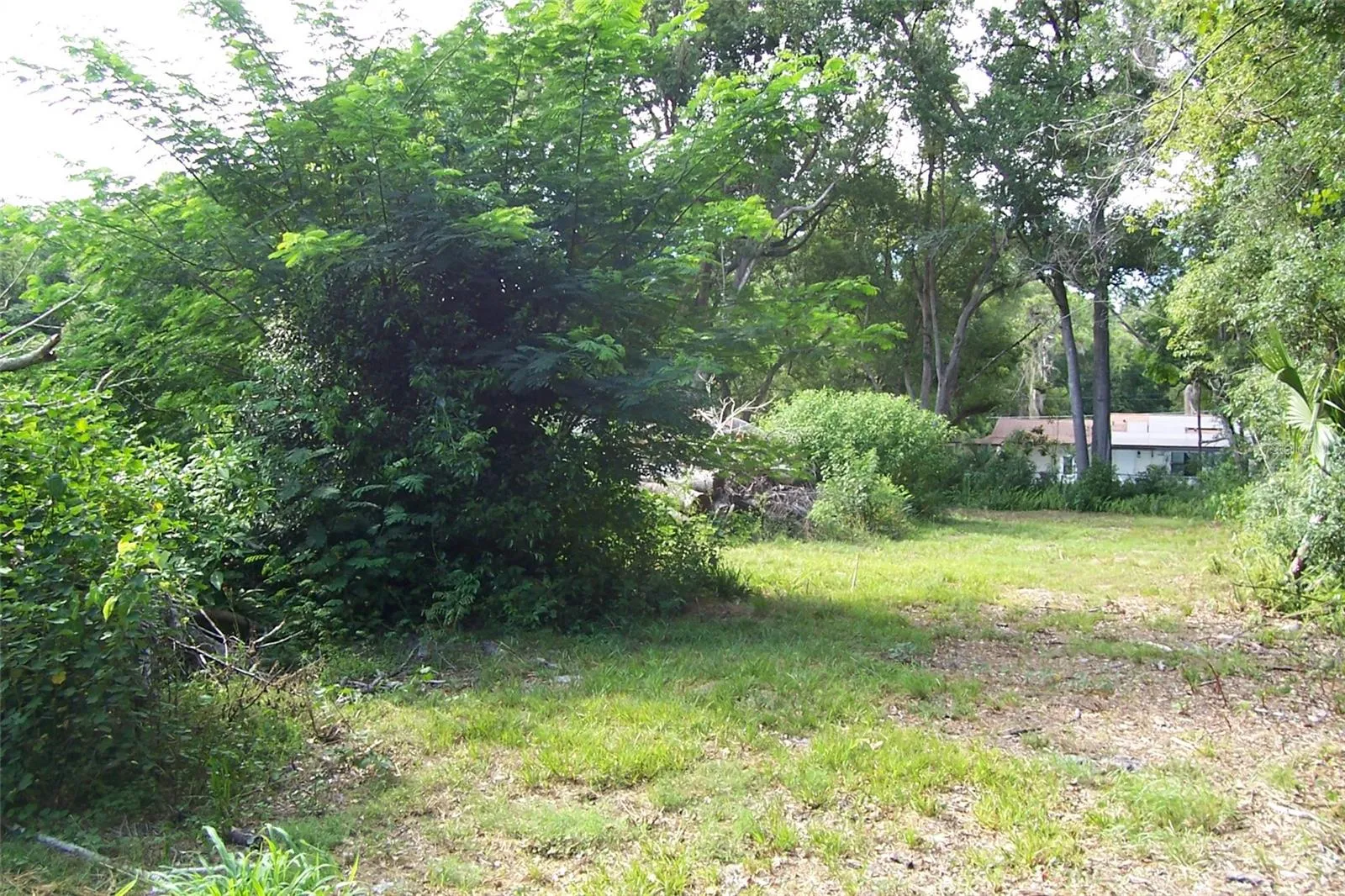 Eustis, Florida 32726, 0 , 0 ,0,Land,For Sale,GRANT,0,G5056401