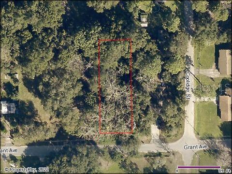 Eustis, Florida 32726, 0 , 0 ,0,Land,For Sale,GRANT,0,G5056401