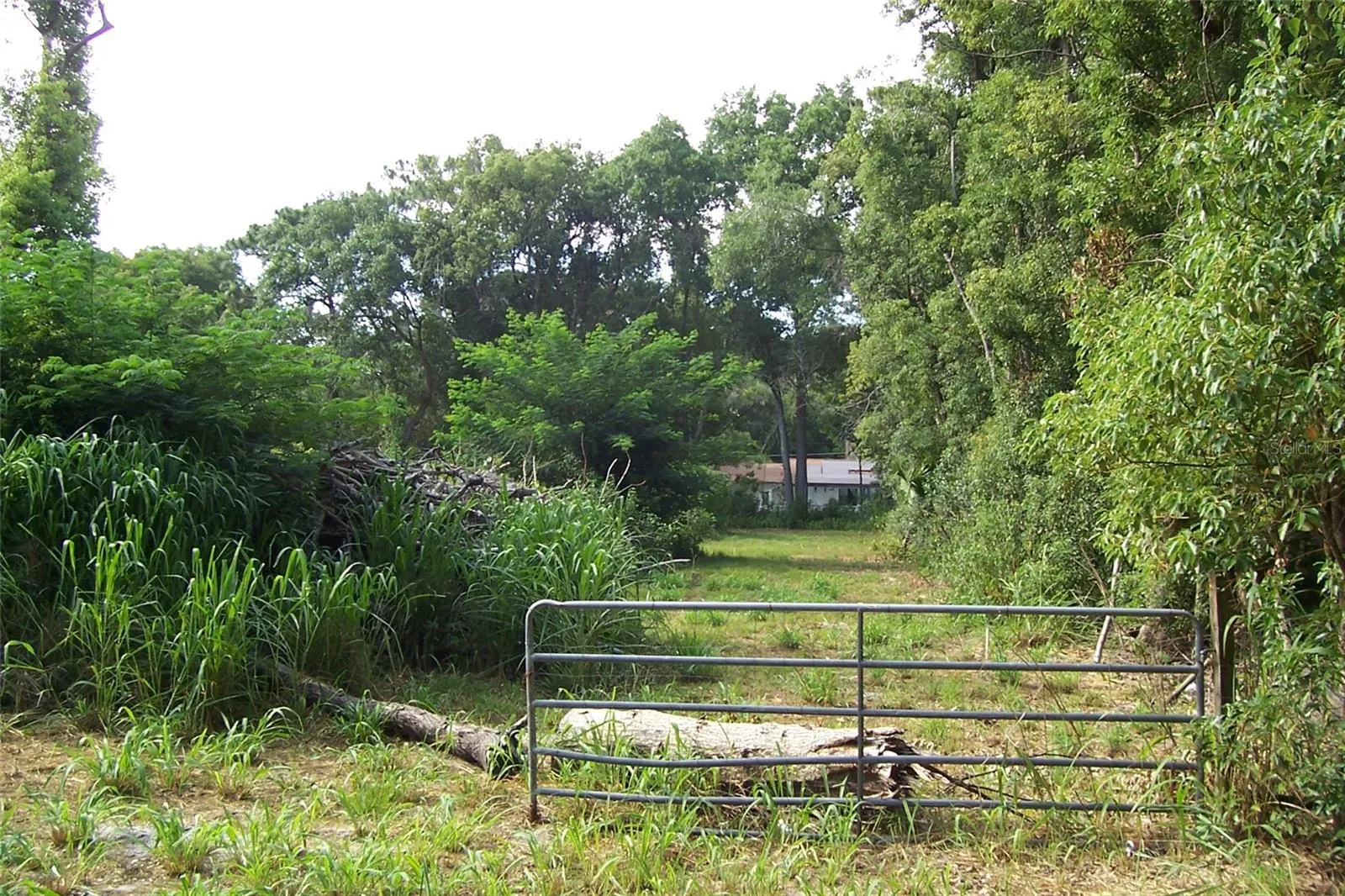 Eustis, Florida 32726, 0 , 0 ,0,Land,For Sale,GRANT,0,G5056401
