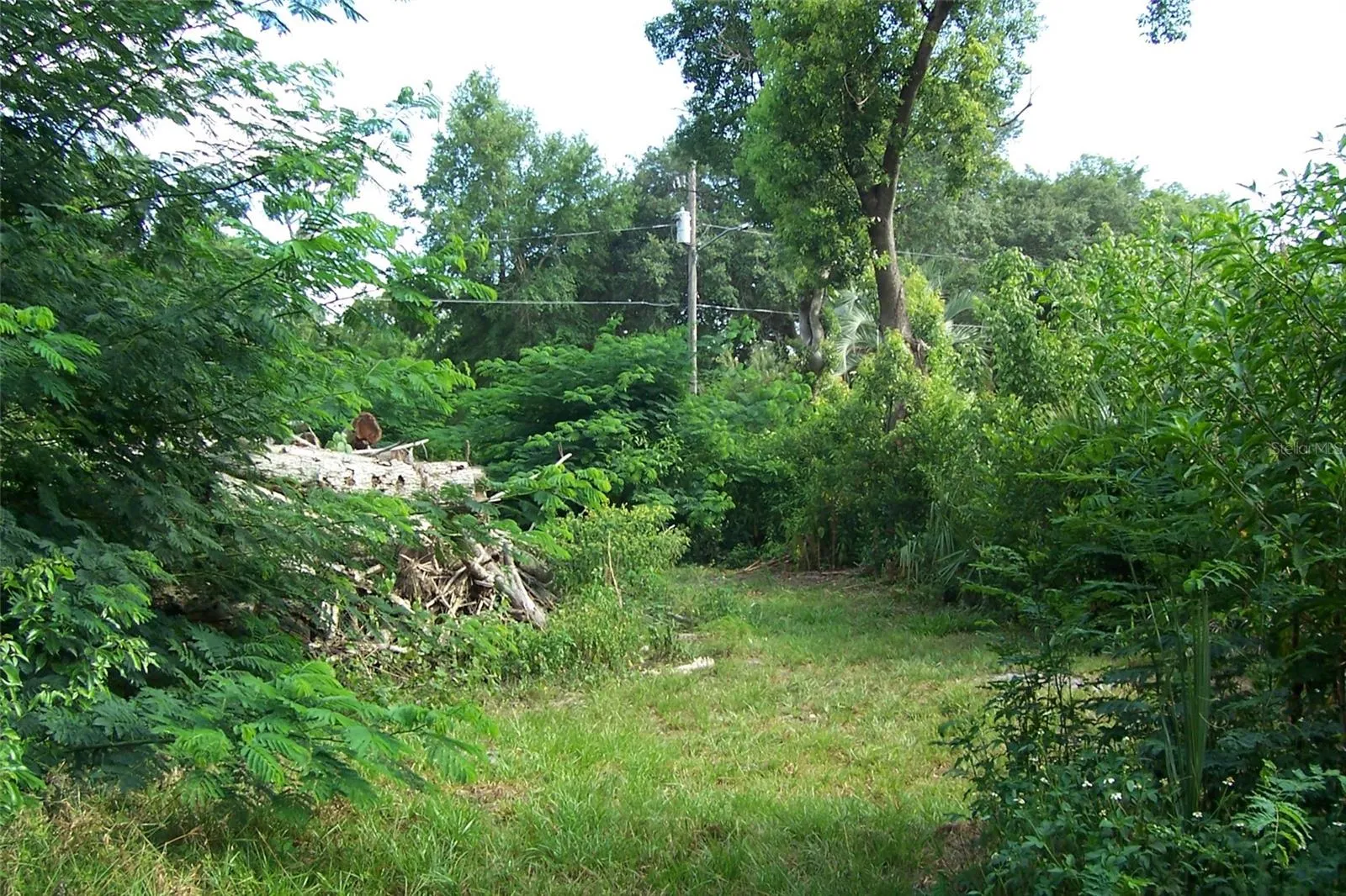 Eustis, Florida 32726, 0 , 0 ,0,Land,For Sale,GRANT,0,G5056401
