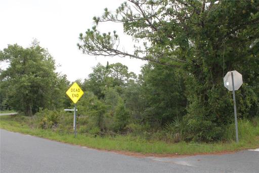 Corner of Hornbill and Prairie Falcon