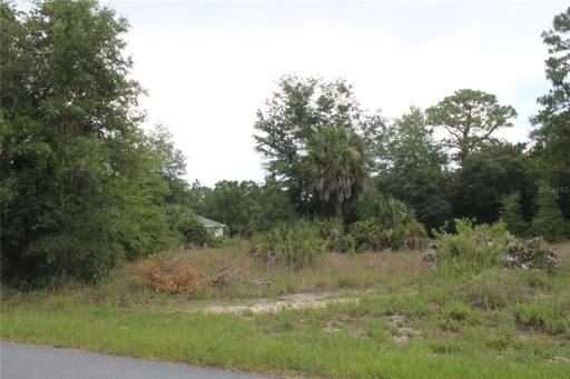 Back view from Prairie Falcon Rd