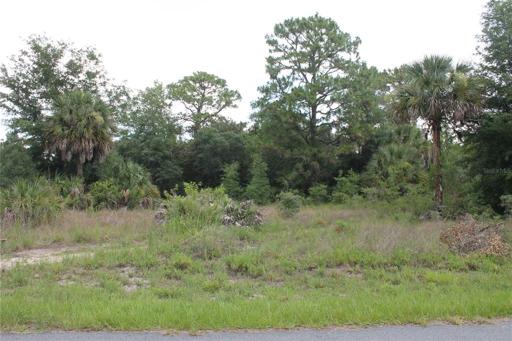 lightly treed lot