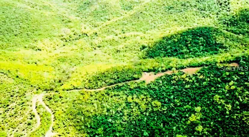 Drone view of road to top