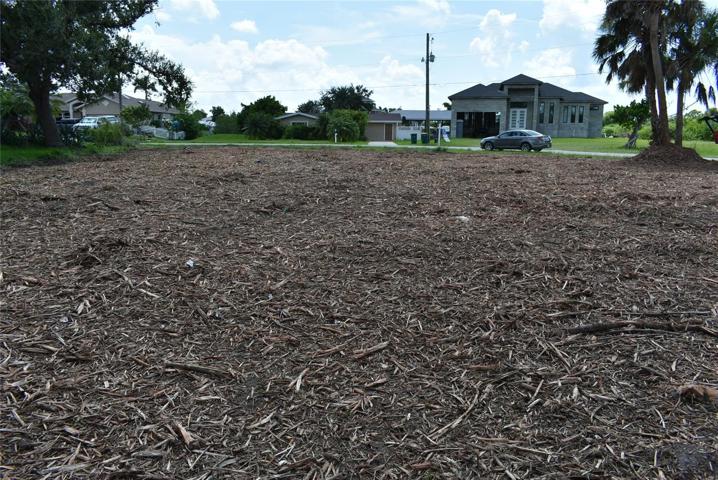 Cleared lot - looking toward the street.