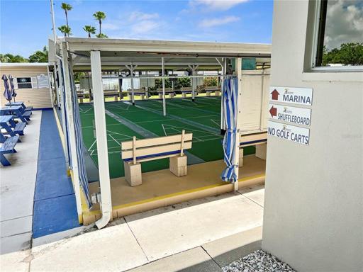 Shuffleboard