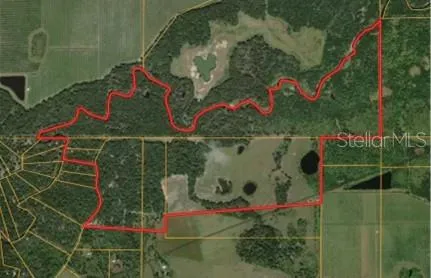 370 Acre Commercial Hunting, 2 miles on Charlie Creek