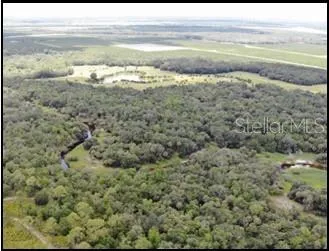 Charlie Creek and woods