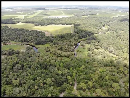 Charlie Creek and woods