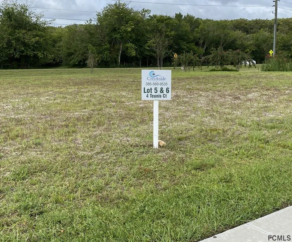 Palm Coast, Florida 32137, 0 , 0 ,0,Land,For Sale,TEUNIS,0,FC259116