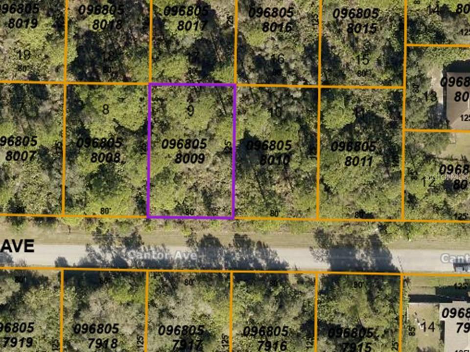 North Port, Florida 34291, 0 , 0 ,0,Land,For Sale,CANTOR,0,N6121811