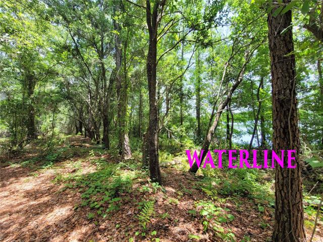 Recently cleared (about 1 acre}