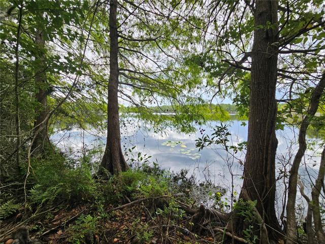 Priceless Lakefront on ski lake