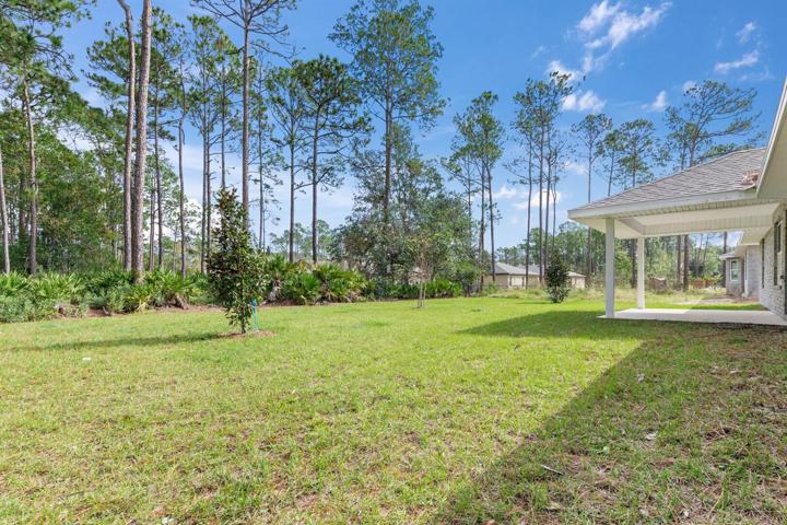 Backyard View 2