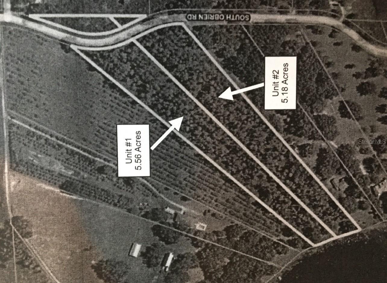 Groveland, Florida 34736, 0 , 0 ,0,Land,For Sale,OBRIEN,0,G5056733